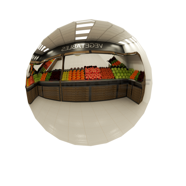 CONVEX SECURITY MIRROR